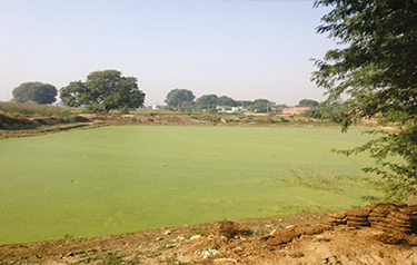 Lukha River decontamination