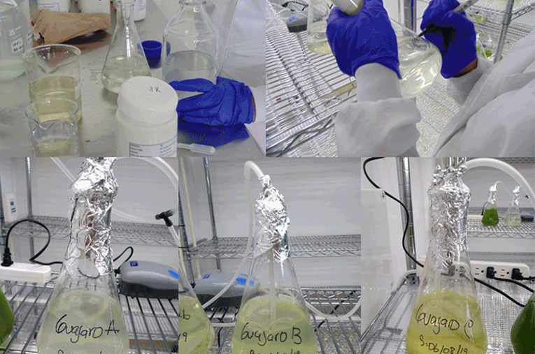 Lukha River decontamination