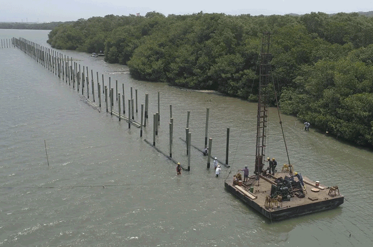 Cienaga mayorquin decontamination algae